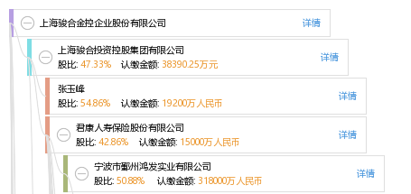 股权结构图 张 张玉峰 他有38家公司,分布如下 上海(共30家 上海骏合