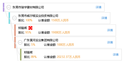 股权结构图 郑 郑强辉 他有56家公司,分布如下 广东(共37家) 东莞市