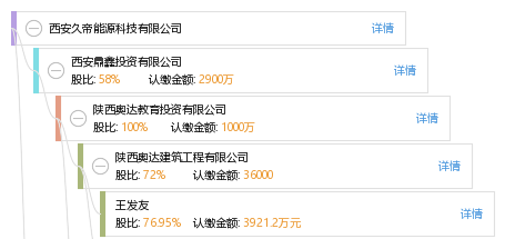 法定代表人 企业架构图 股权结构图 丁 丁振师 他有13家公司,分布如下