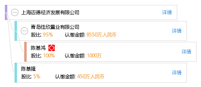 法定代表人 企业架构图 股权结构图 陈 陈基鸿 他有9家公司,分布如下