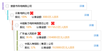 股权结构图谱—楚雄市供电有限公司—天眼查