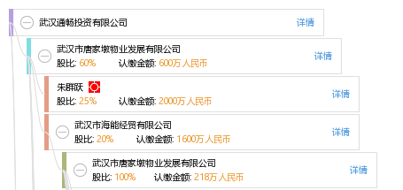 武汉通畅投资有限公司_朱群跃_工商_风险信息 天眼查