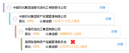 股权结构图谱—中国石化集团金陵石油化工有限责任公司—天眼查