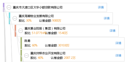 重庆市大渡口区大华小额贷款有限公司