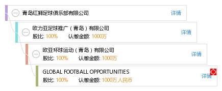 青岛红狮足球俱乐部有限公司
