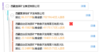 股權結構圖譜—西藏盛源礦業集團有限公司—天眼查