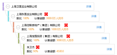 朱 朱卫杰 他有26家公司,分布如下 上海(共21家) 上海宝山宝莲小额