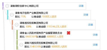 股权结构图谱—湖南微软创新中心有限公司—天眼查