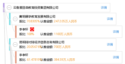 云南爱因森教育投资集团有限公司