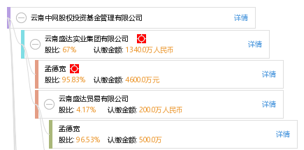 股权结构图谱—云南中网股权投资基金管理有限公司—天眼查